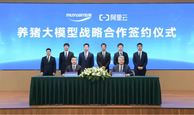 牧原与阿里云达成AI战略合作 联合打造AI助手将猪群健康检测提效超百倍