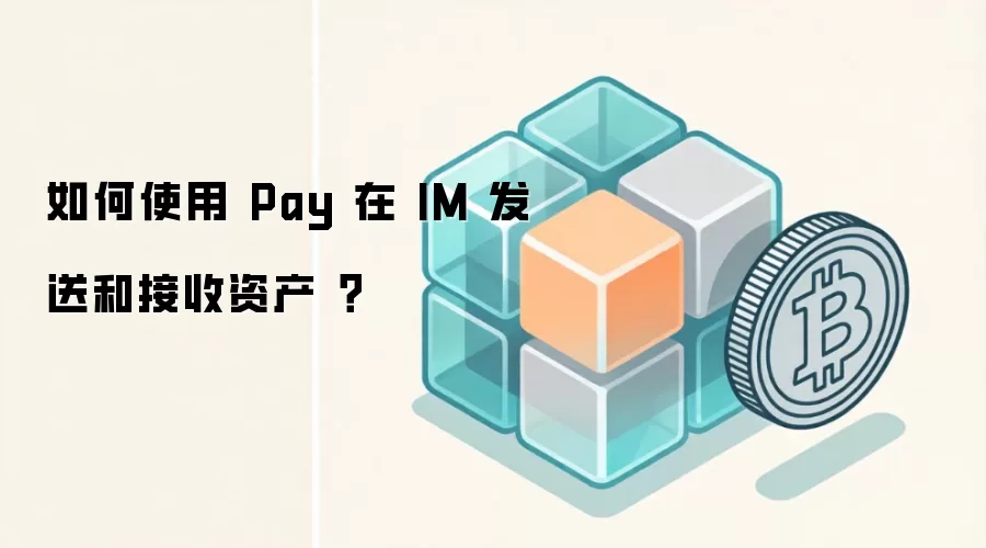 如何使用 Pay 在 IM 发送和接收资产 ？