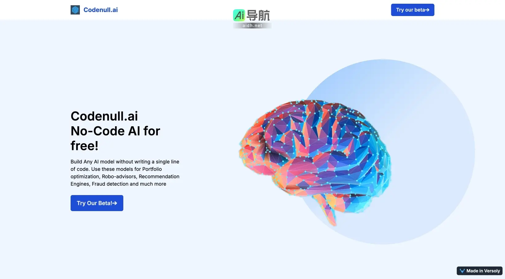 Codenull.ai 提供无代码AI模型构建，助力业务优化与智能决策