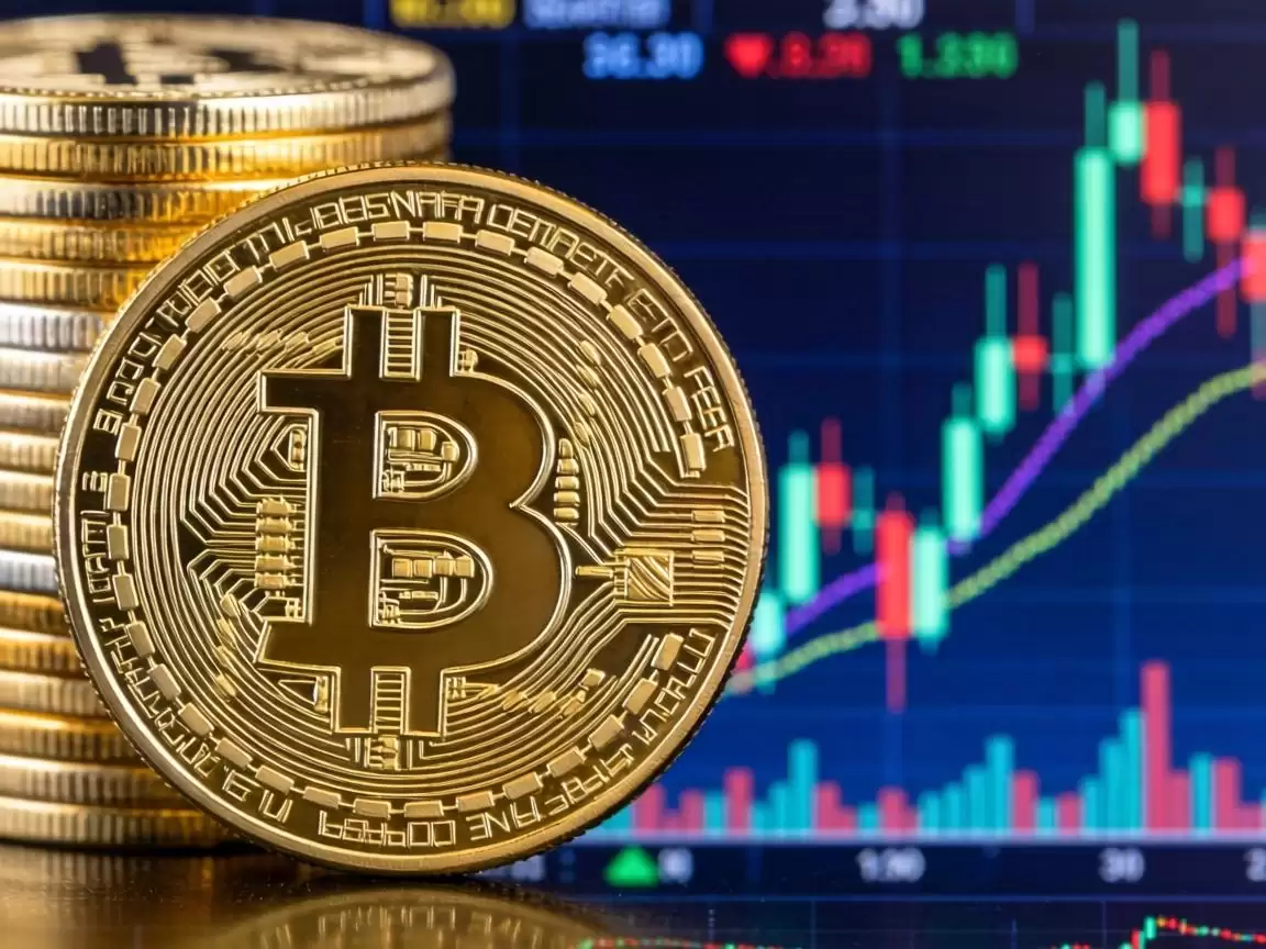 比特币与山寨币价格波动深度分析