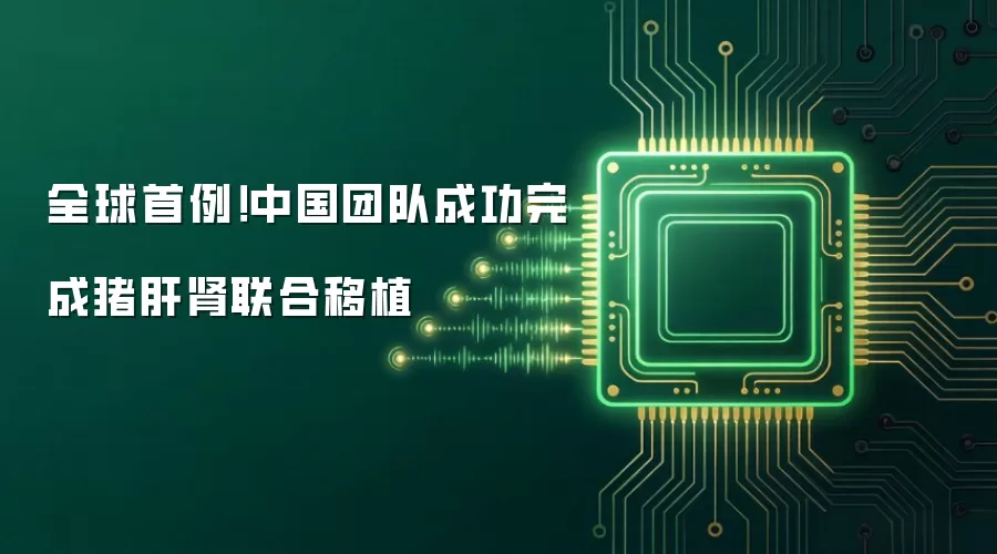 全球首例！中国团队成功完成猪肝肾联合移植