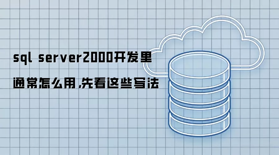 sql server2000开发里通常怎么用，先看这些写法