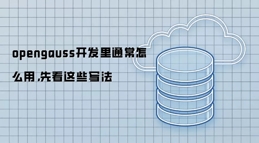 opengauss开发里通常怎么用,先看这些写法