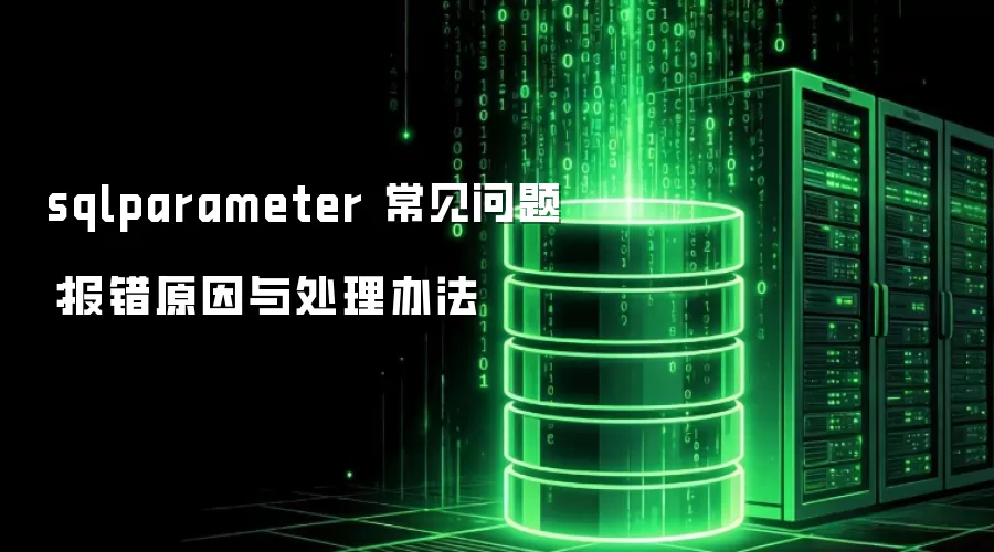 sqlparameter 常见问题:报错原因与处理办法