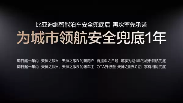 出事我全赔！比亚迪扔下这颗深水冲击波 友商们彻底睡不着了