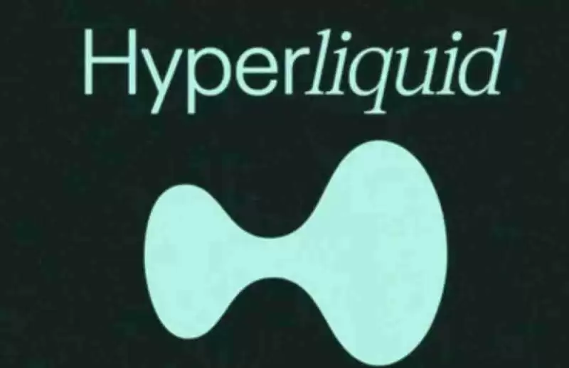 1. Hyperliquid:高性能应用链上的衍生品交易先驱