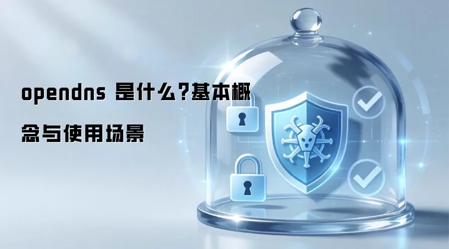opendns 是什么？基本概念与使用场景