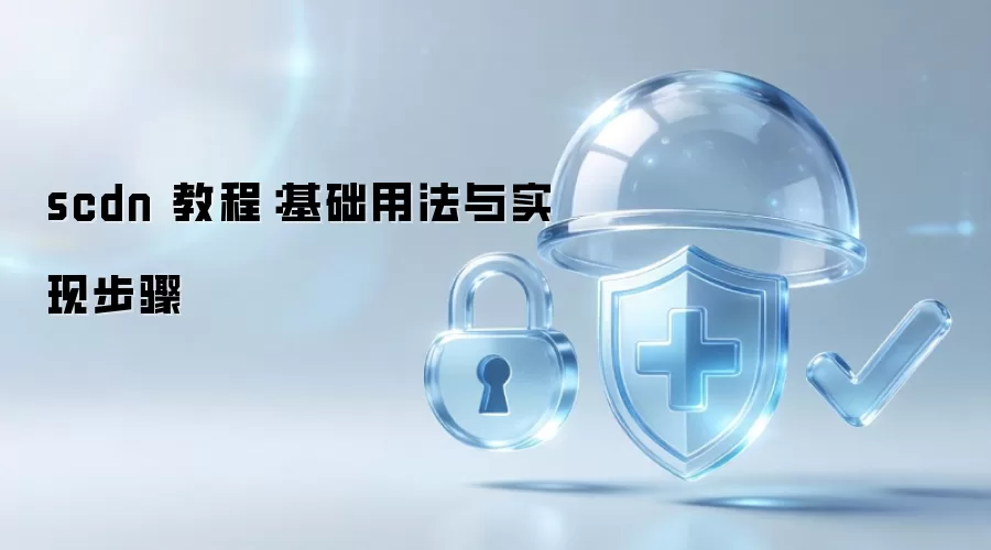 scdn 教程:基础用法与实现步骤