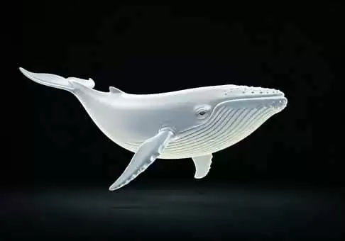 加密货币中白鲸的意义:WHITEWHALE 代币故事,一文详解