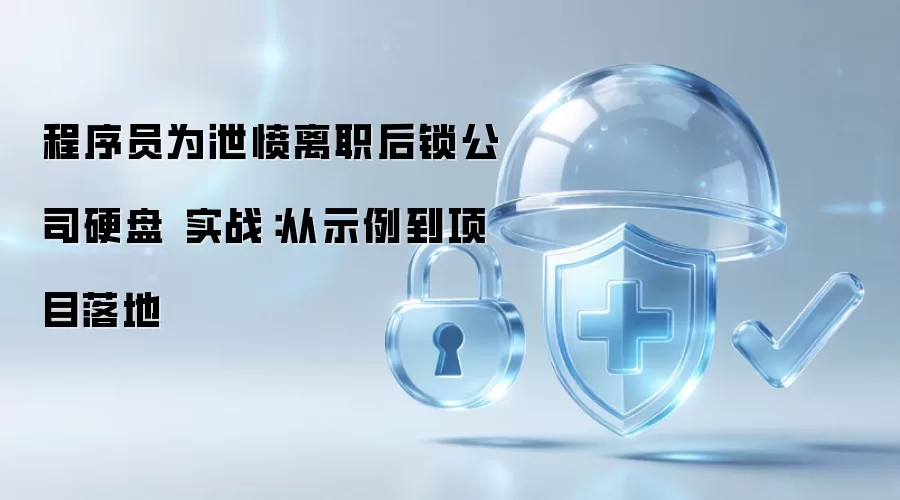 程序员为泄愤离职后锁公司硬盘 实战:从示例到项目落地