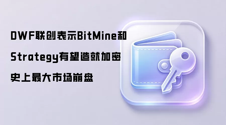 DWF联创表示BitMine和Strategy有望造就加密史上最大市场崩盘