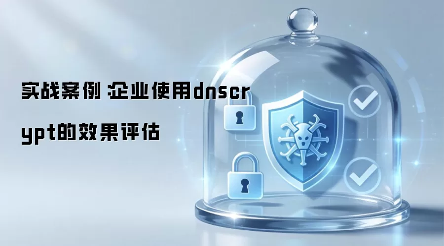 实战案例:企业使用dnscrypt的效果评估