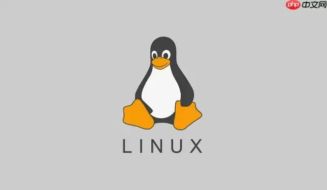 Linux怎么查看系统最大的文件描述符限制 Linux内核参数调优详解