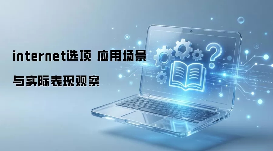 internet选项 应用场景与实际表现观察