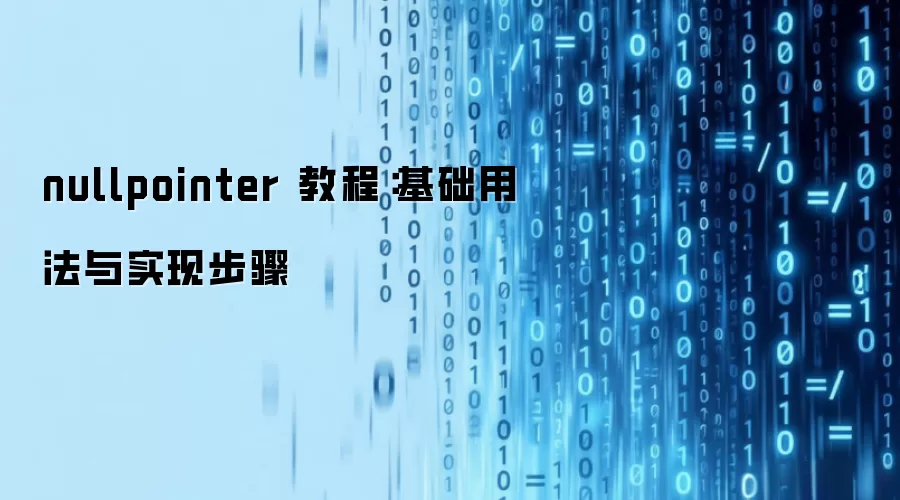 nullpointer 教程:基础用法与实现步骤