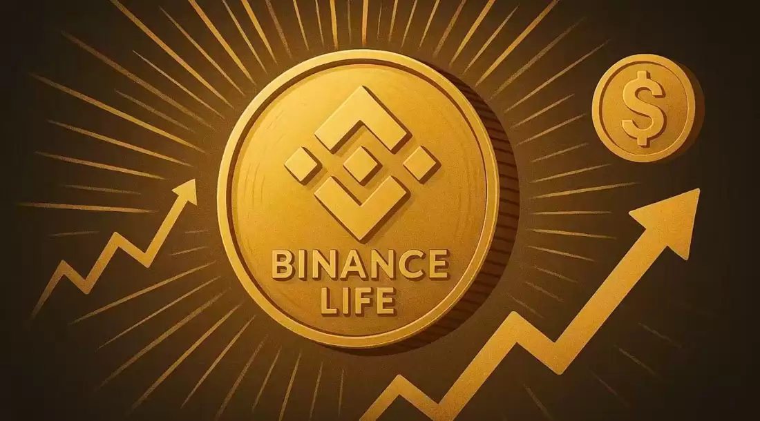币安（Binance）人生逆市