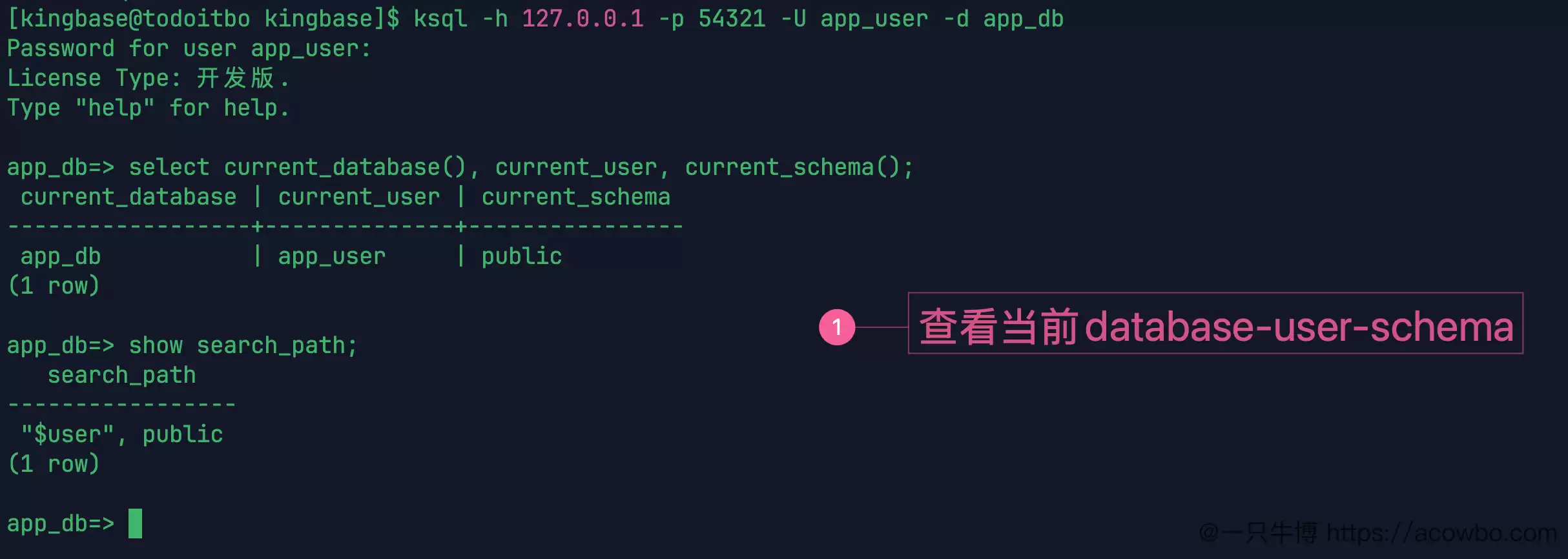 查看当前 database user schema