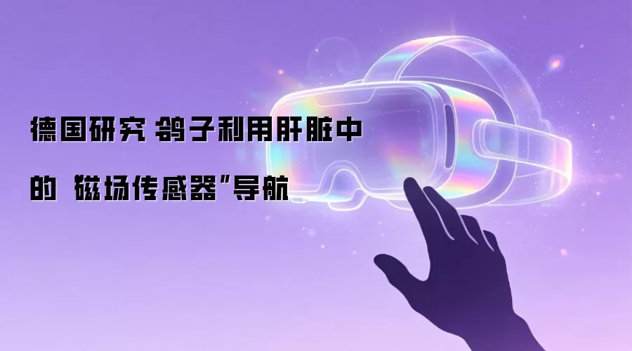 德国研究:鸽子利用肝脏中的“磁场传感器”导航