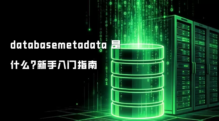 databasemetadata 是什么?新手入门指南