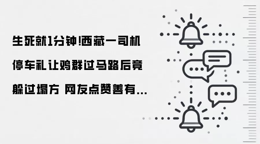 生死就1分钟！西藏一司机停车礼让鸡群过马路后竟躲过塌方 网友点赞善有善报