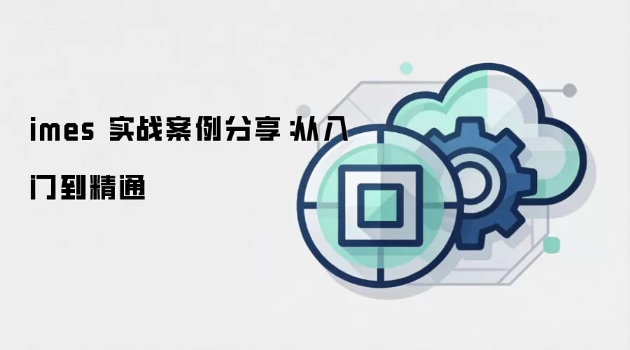 imes 实战案例分享:从入门到精通