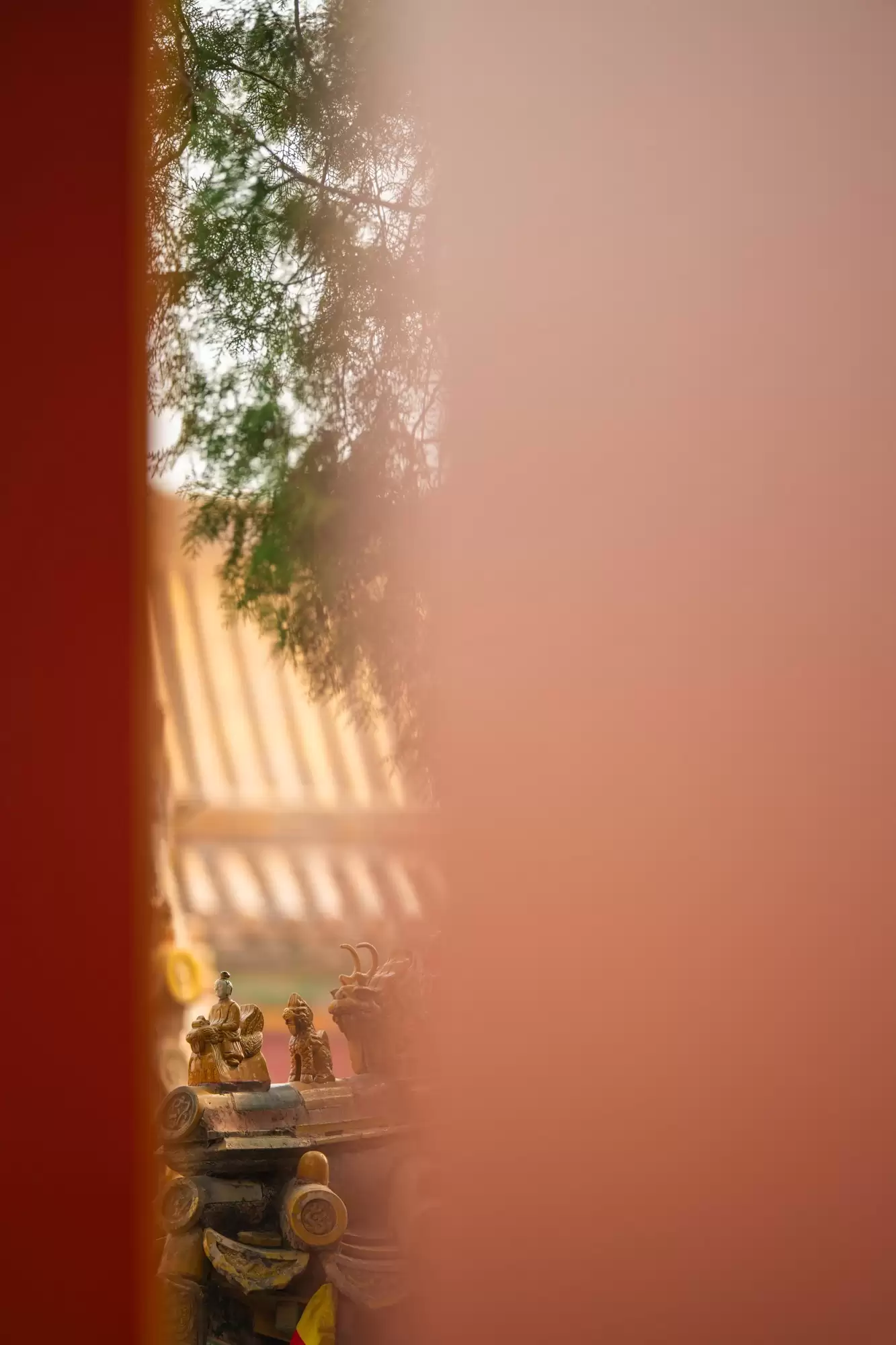 长焦变焦镜头推荐：尼康尼克尔 Z 70 - 200mm f/2.8 VR S II解析