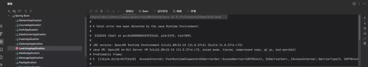 JVM崩溃(FatalError)解决过程