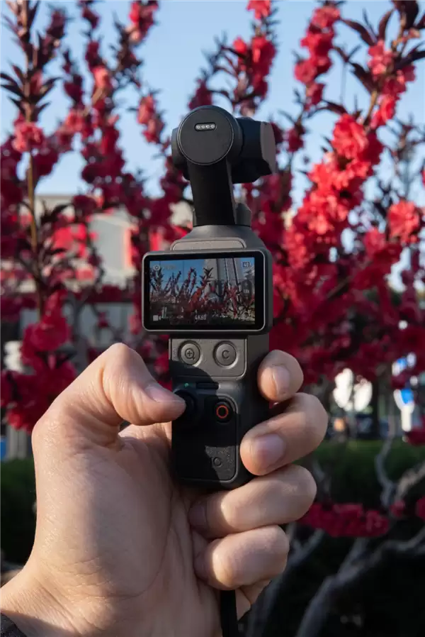 Pocket 4登上北影节红毯 它凭什么？