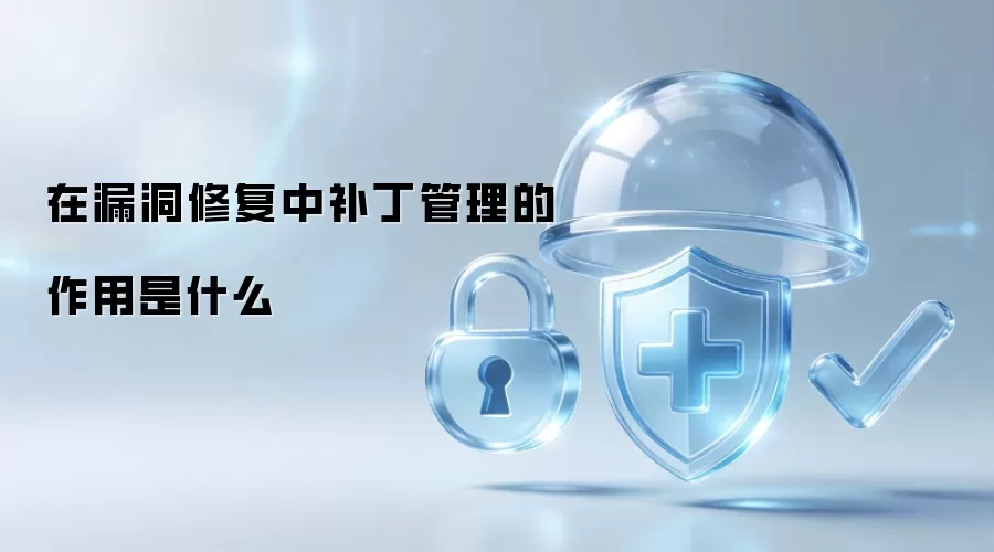 在漏洞修复中补丁管理的作用是什么