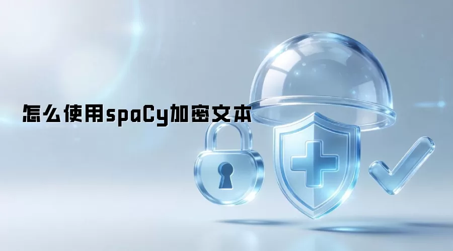 怎么使用spaCy加密文本