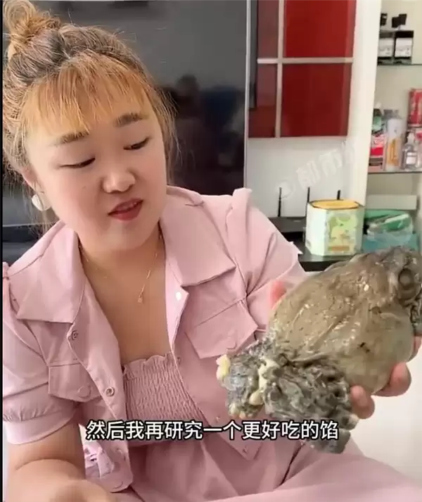女子自制蛤蟆粽子 蛤蟆肚里塞糯米蛋黄 网友：粽子甜咸大战就此落幕