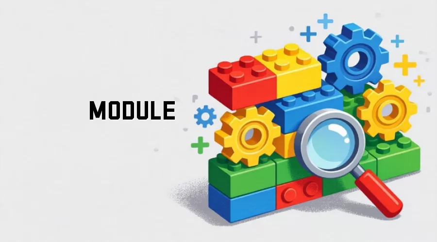 MODULE