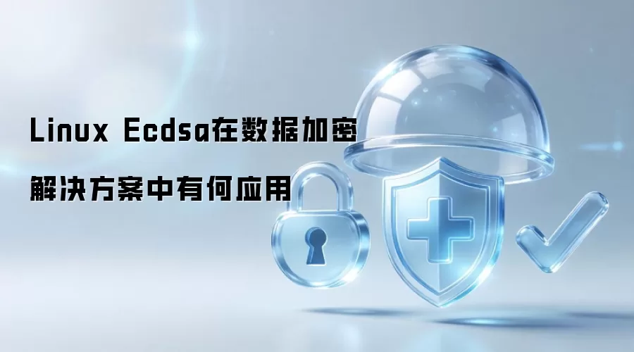 Linux Ecdsa在数据加密解决方案中有何应用