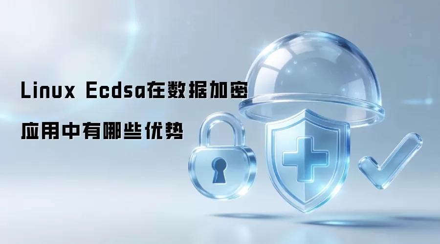 Linux Ecdsa在数据加密应用中有哪些优势