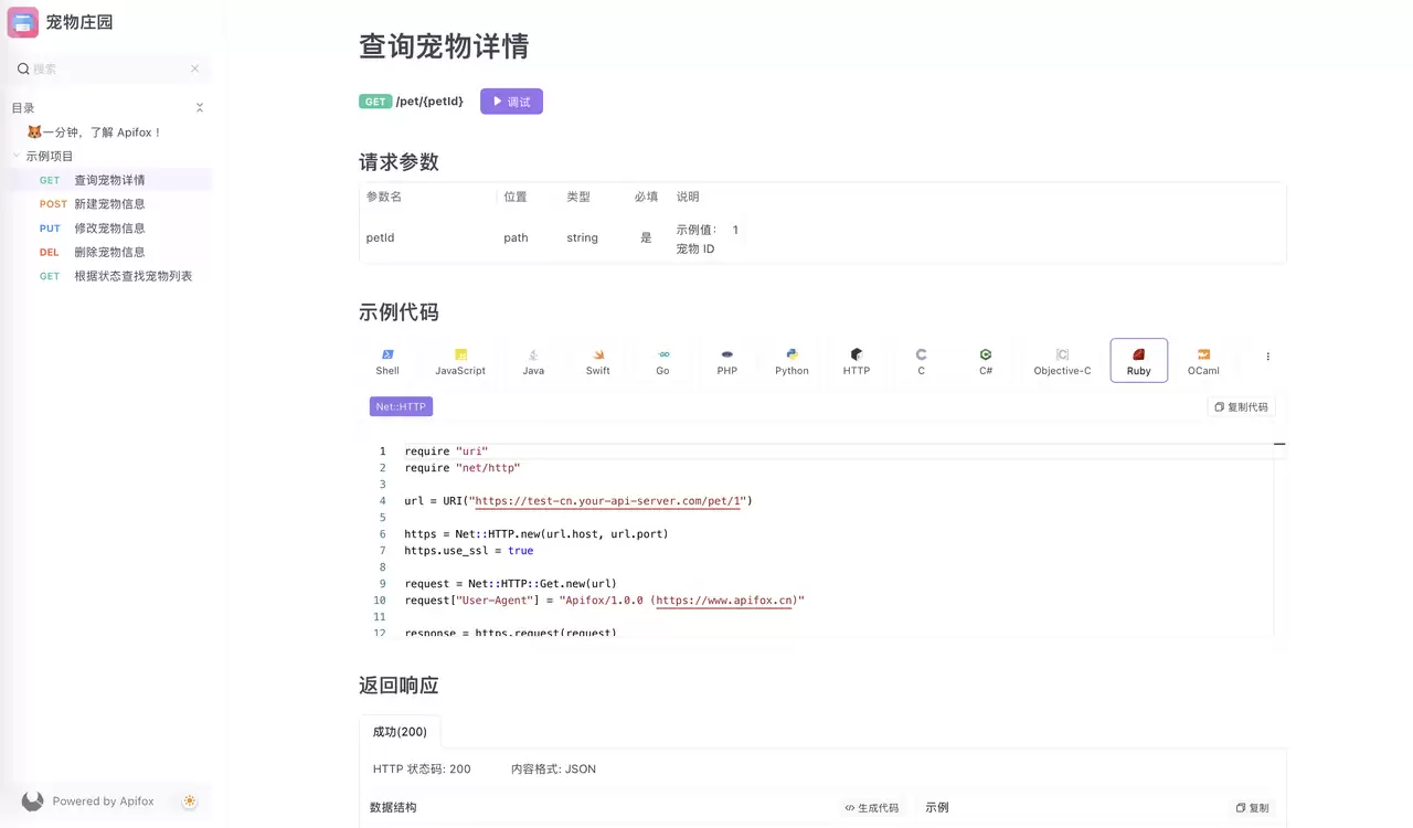 使用 Apifox 开发 REST API