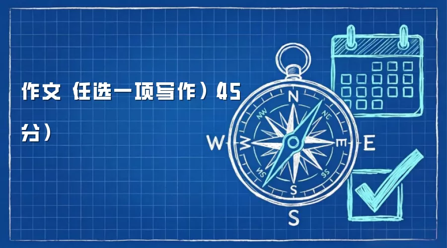 作文（任选一项写作）（45分）