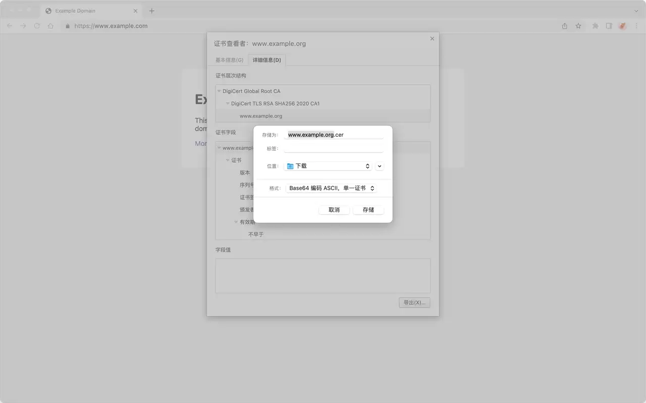 如何使用 JMeter 进行 HTTPS 请求测试?