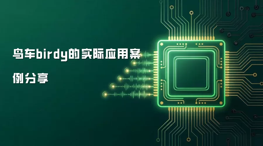 鸟车birdy的实际应用案例分享