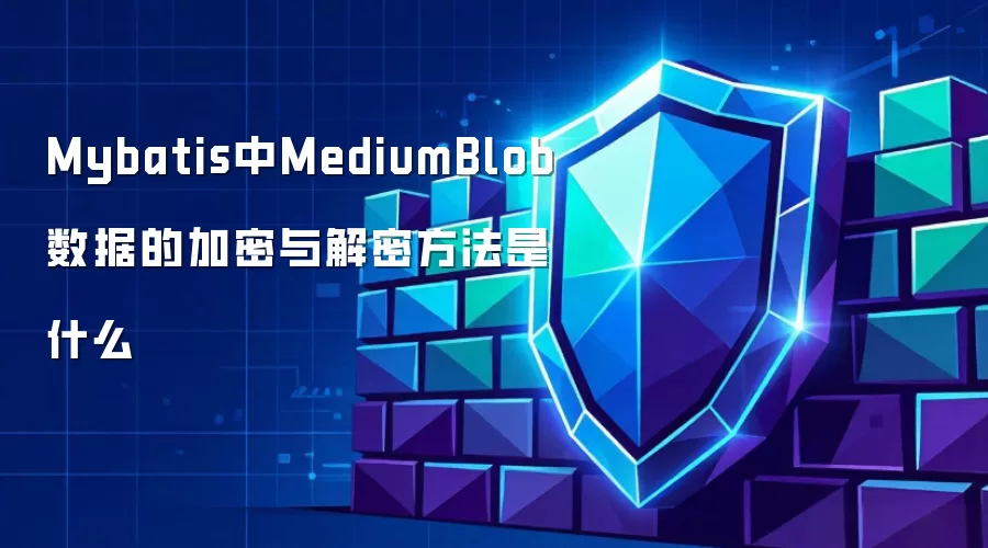 Mybatis中MediumBlob数据的加密与解密方法是什么