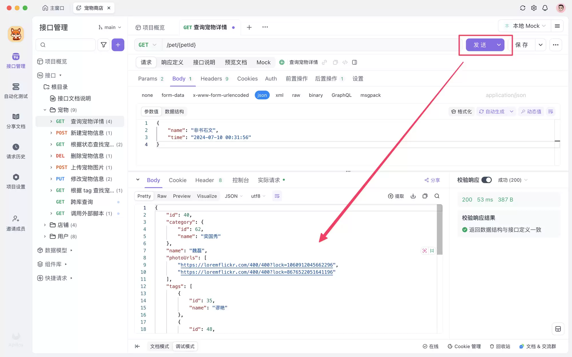 如何使用 Apifox 自动生成 API 接口文档 - 一份详细指南