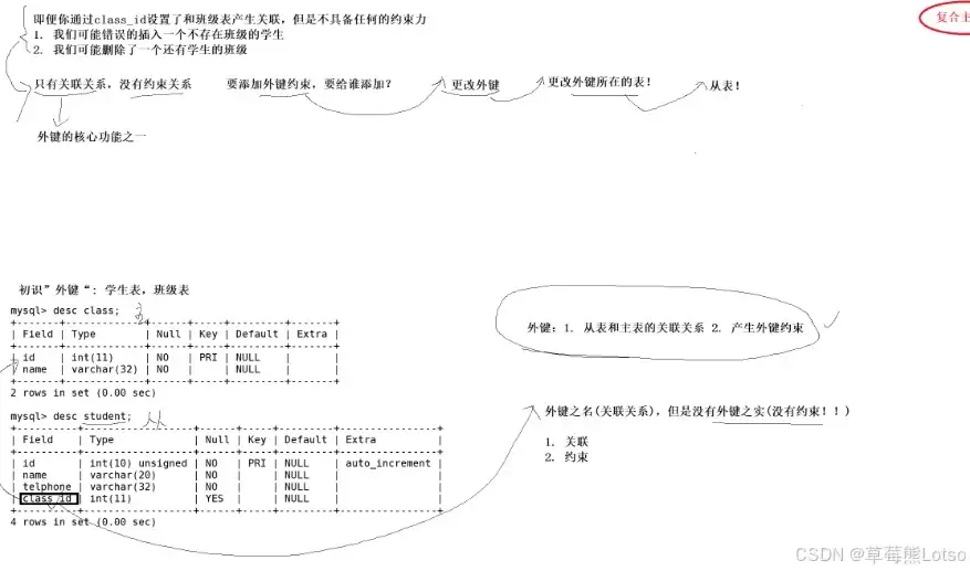MySQL表约束从基础约束到外键关联实战案例详解