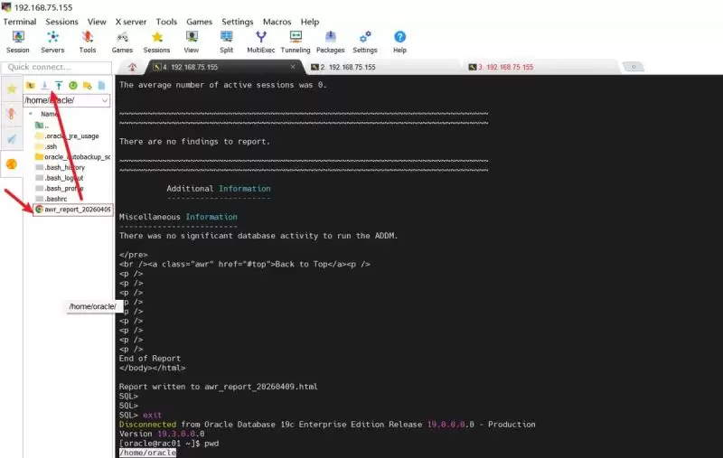 Oracle数据库AWR报告的生成步骤与分析方法