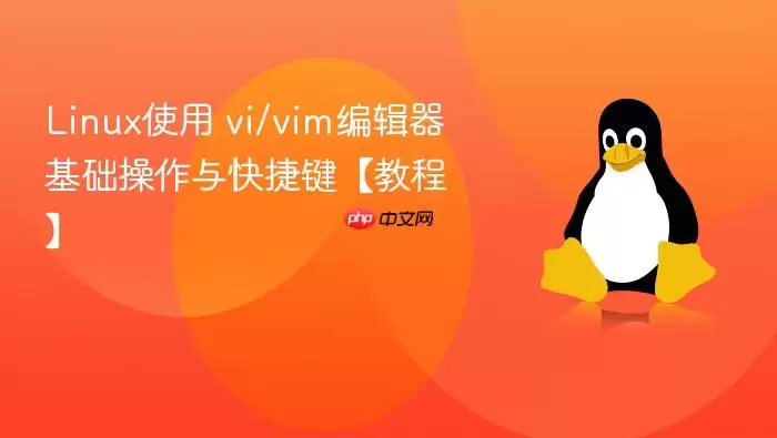 linux使用 vi/vim编辑器 基础操作与快捷键【教程】