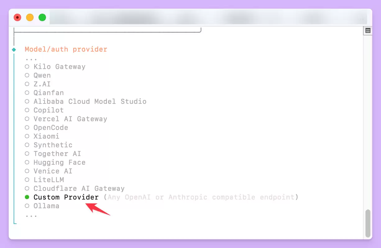 OpenClaw如何自定义模型供应商（Custom Provider）？图文教程