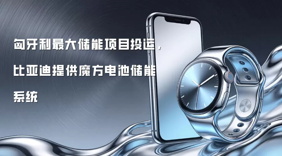 匈牙利最大储能项目投运，比亚迪提供魔方电池储能系统