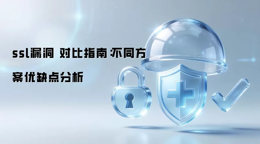 ssl漏洞 对比指南:不同方案优缺点分析