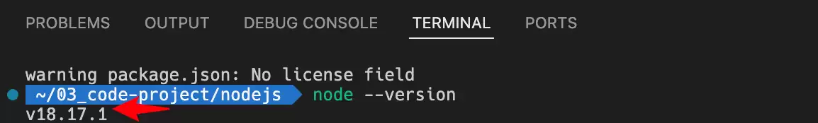 如何在 VSCode 中运行 Ja vascript（JS） 文件？