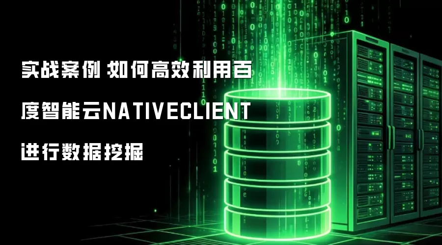 实战案例:如何高效利用百度智能云NATIVECLIENT进行数据挖掘