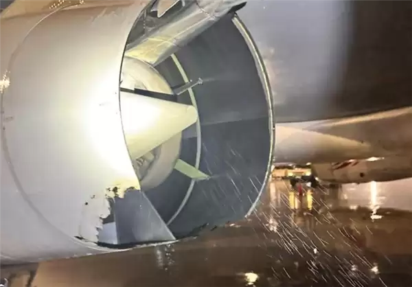 空客A330客机高空中遭雷击发动机起火！全机200多人安全返航