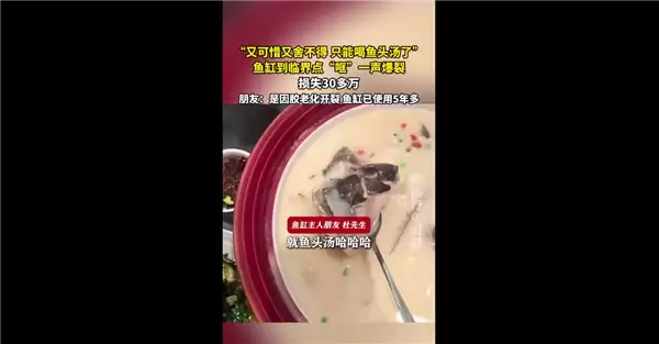 江苏一男子家中鱼缸到临界点“哐”爆裂 连鱼缸带损失30多万:主人含泪炖汤让网友笑喷
